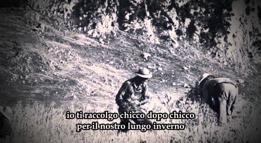 Cantu di li Scugghitura