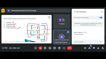 Week 1 Problem Solving Session - Plant Developmental Biology