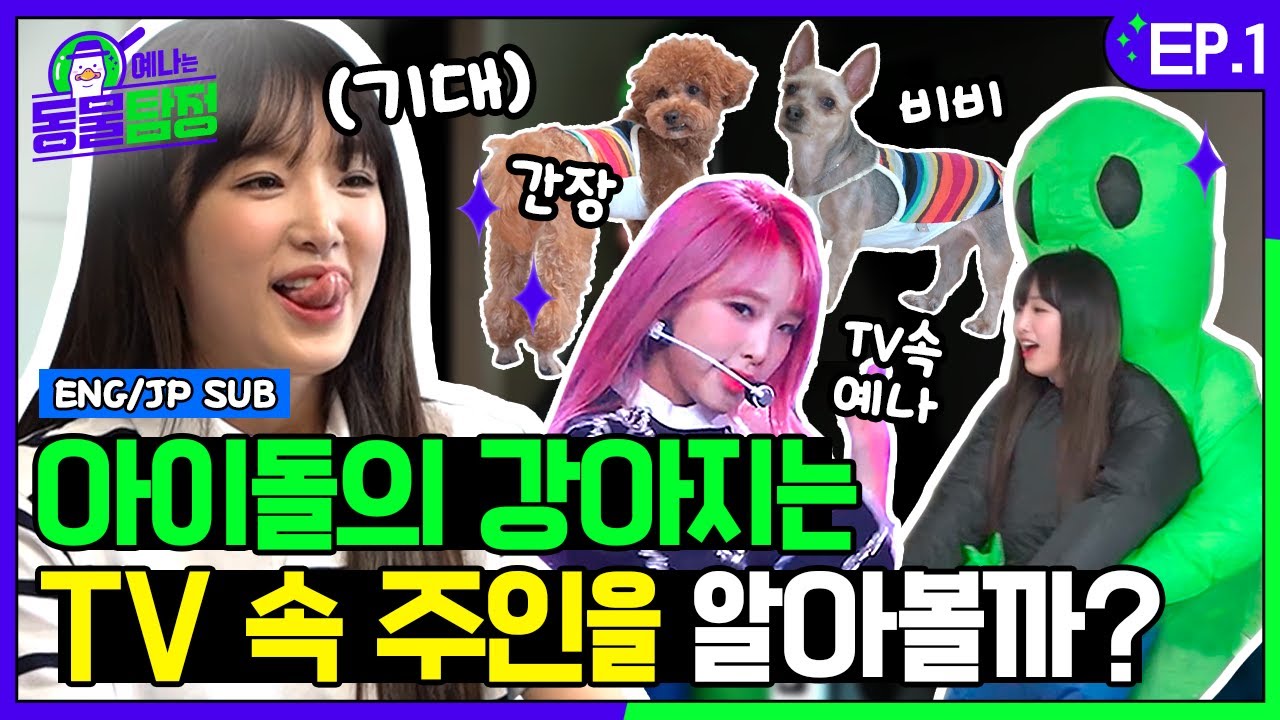 [SUB] 월클 동물탐정 예나네 강아지(비비&간장)는 TV 속 주인을 알아볼까? 강얼쥐들 리얼반응ㅋㅋㅋㅣ예나는동물탐정 EP.01