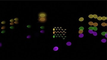 Beethoven, String Quartet No. 1 in F major, opus 18 no. 1, 3. SCHERZO. Allegro molto.