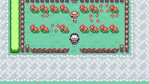 NPC Quest + progress tracker script - Pokémon FireRed|Portfolio Showcase