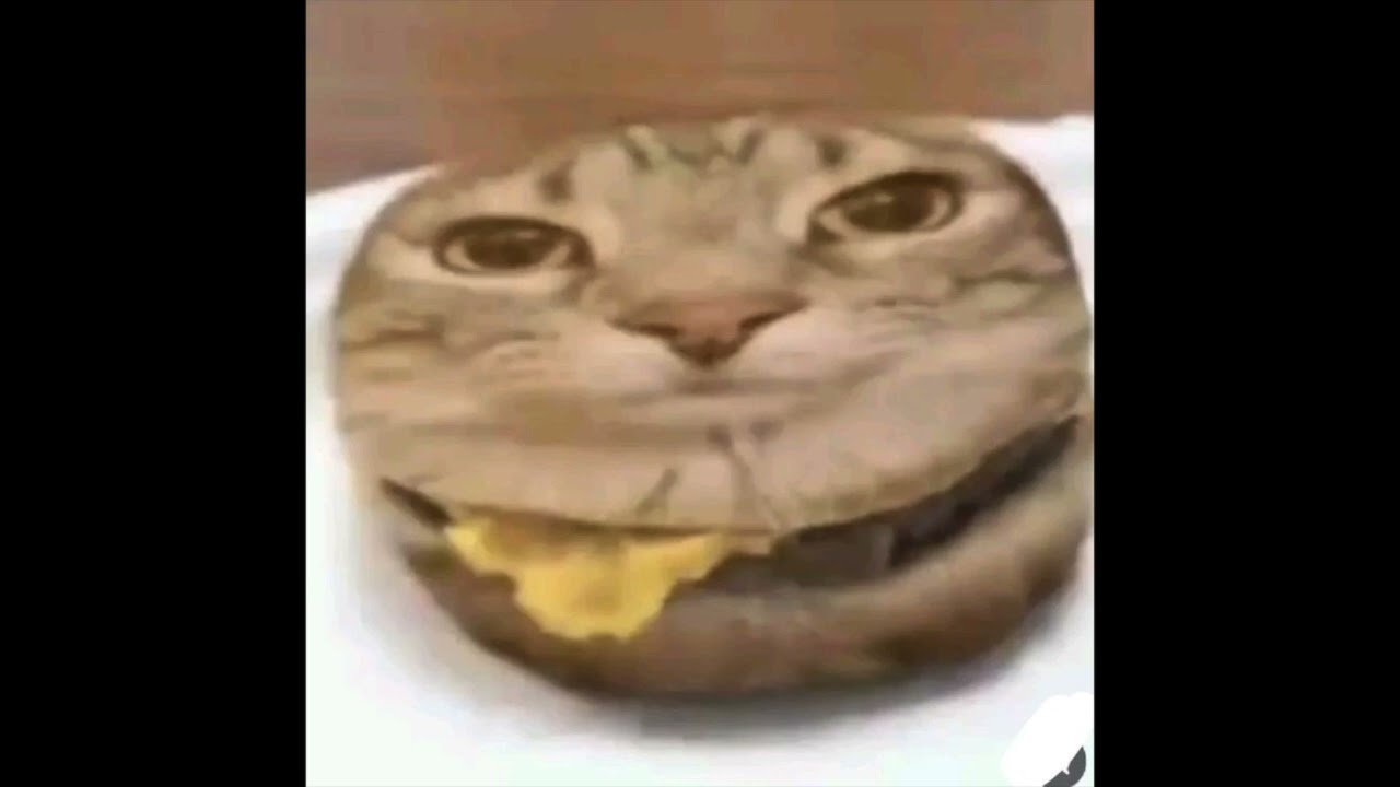 [free for non profit] osamason + rexv2 type + che type beat