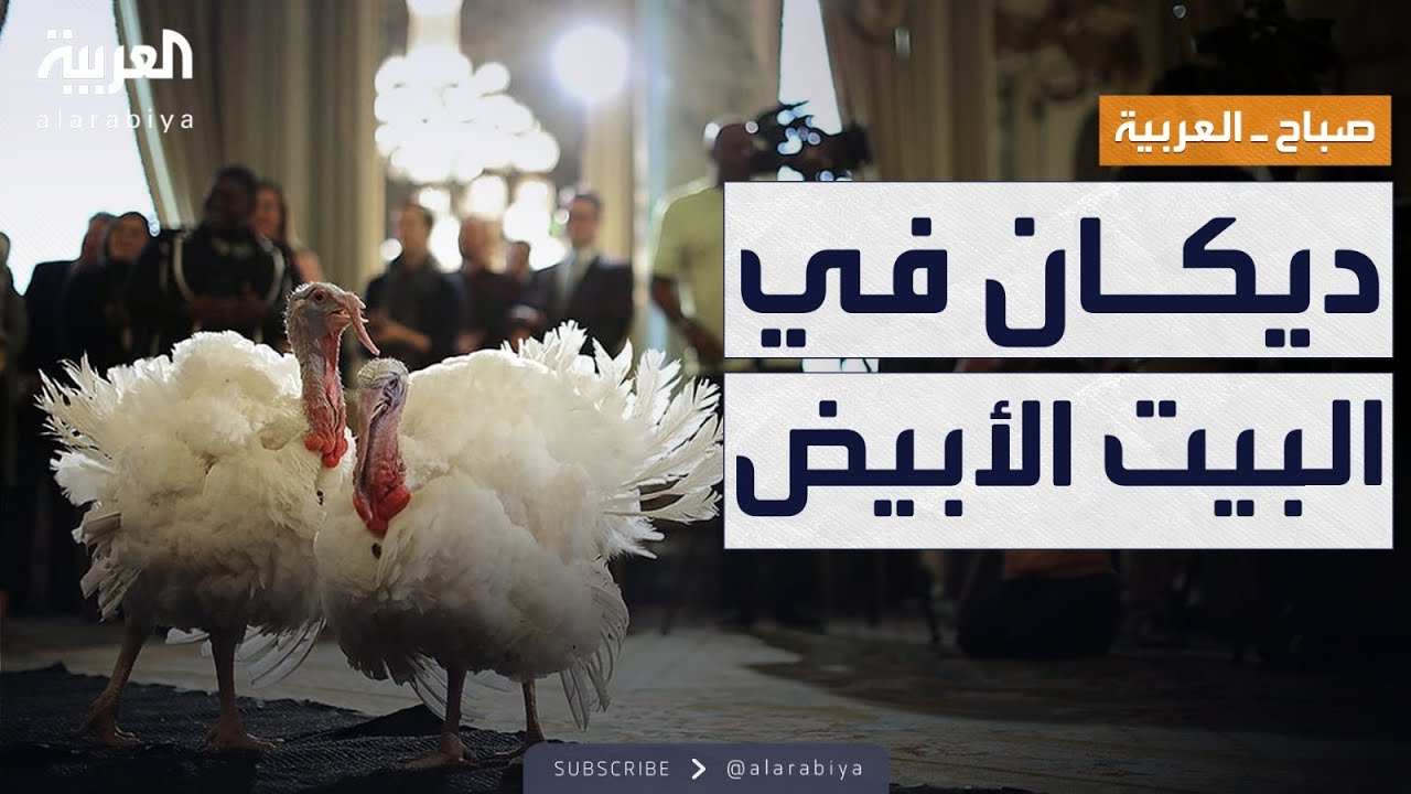   |  --  -- --    
 - نشر قبل 8 دقيقة