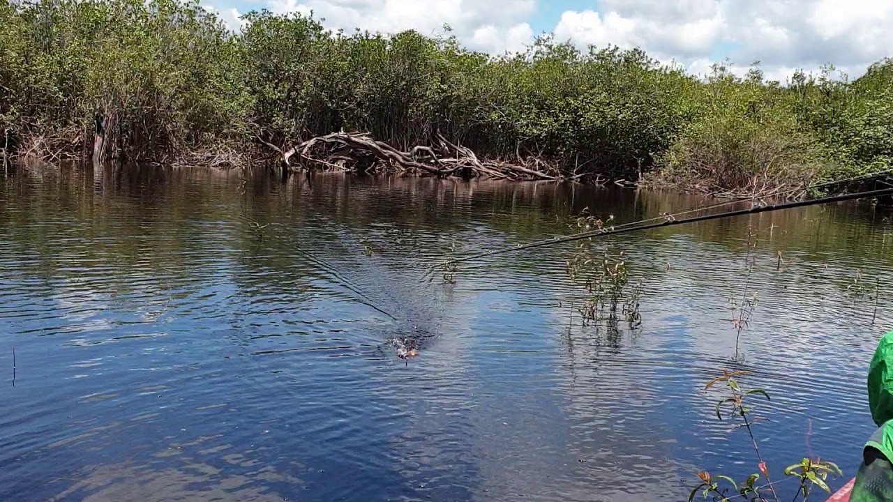 Mancing di sarang ikan kerandang 