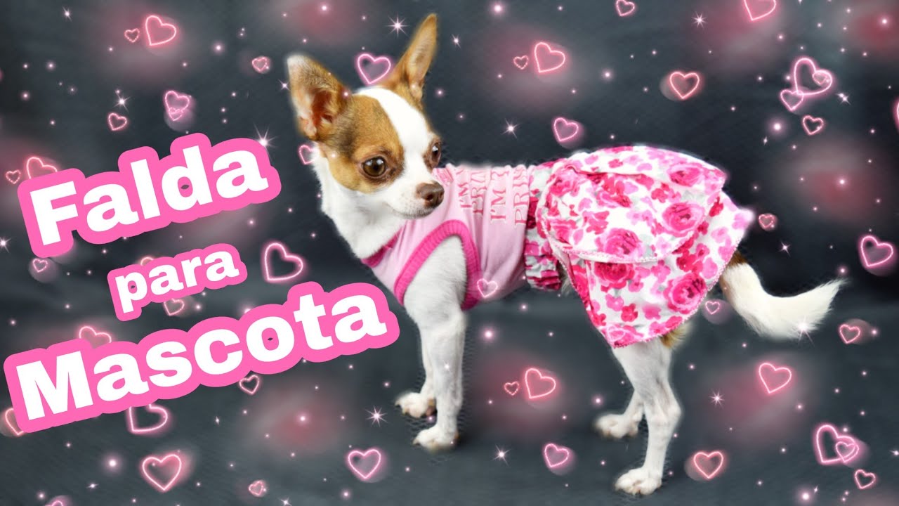 *DIY* Falda coqueta para mascota - YouTube