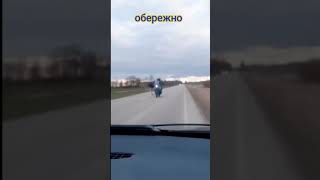 обережно  на дорозі олені!