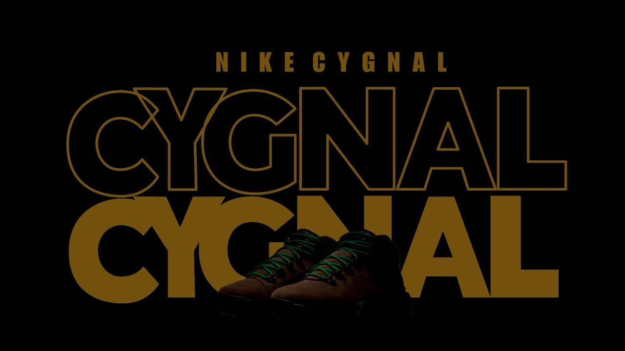 Nike Cygnal BAROQUE BROWN 2024 DETAILED LOOK + PRICE - YouTube