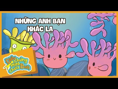 Những anh bạn khác lạ