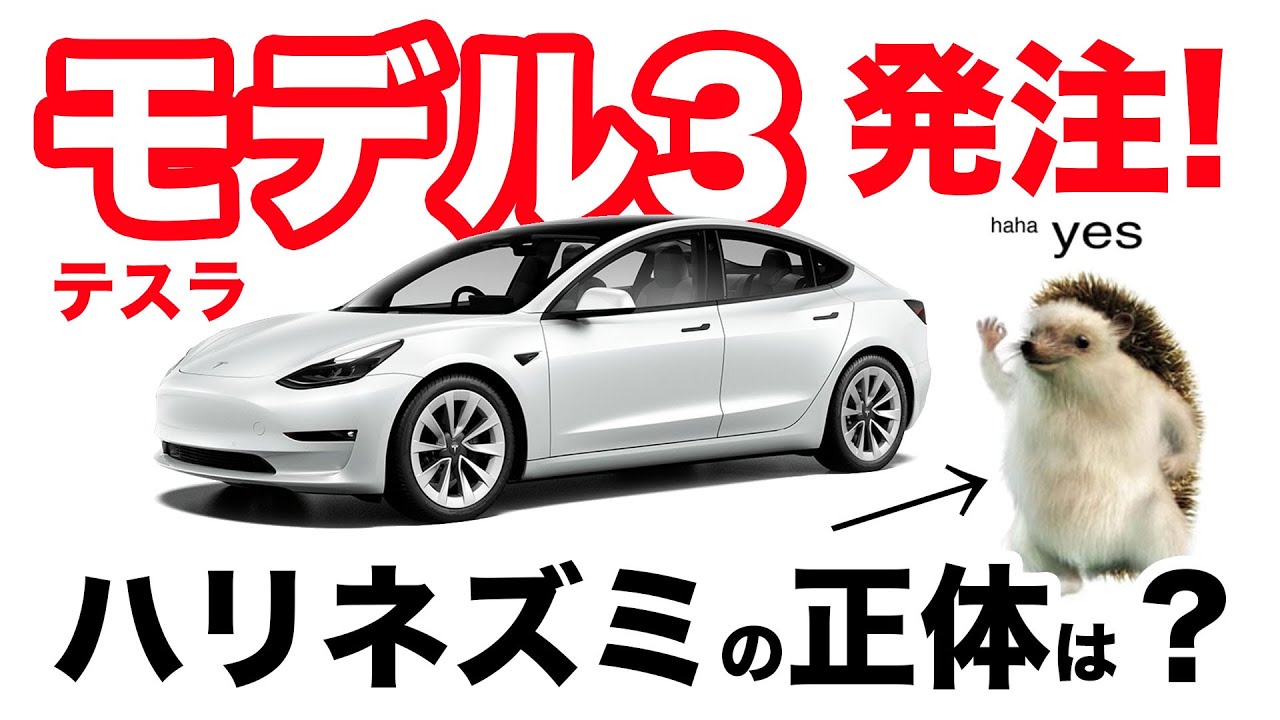 モデル3発注！謎のハリネズミの正体は？【テスラ モデル3 - Tesla