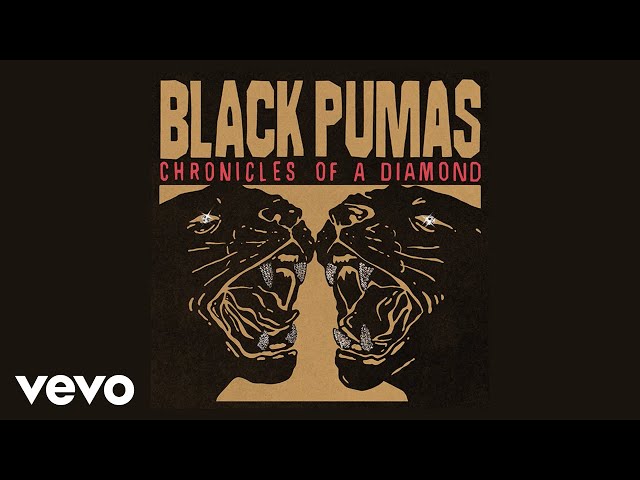 Black Pumas - Rock and Roll