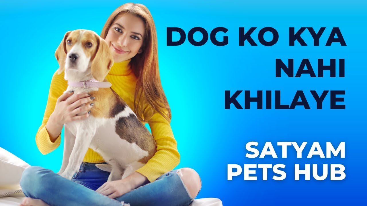 Dog ko kya nahi khilae jisse dog bimar na ho ! डॉग को क्या नहीं खिलाए