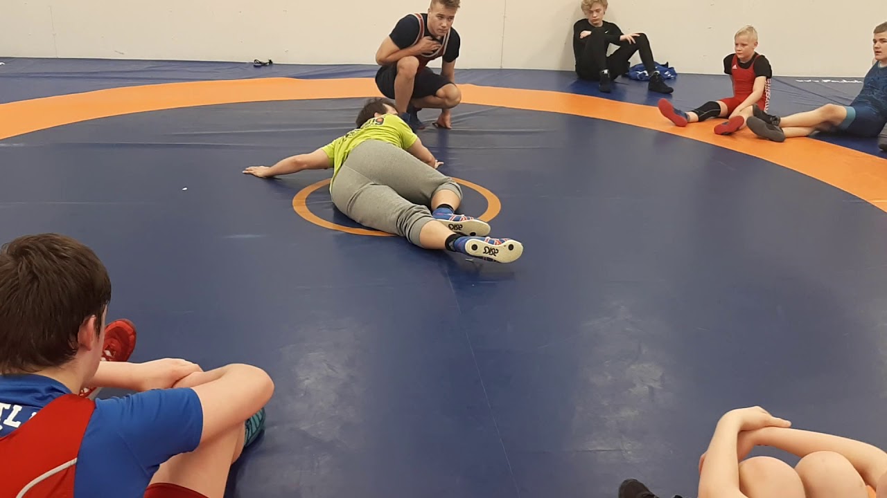 Mattopuolustus by Ala-Huikku