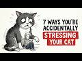 7 Ways You’re Accidentally Stressing Your Cat | Feline Secrets