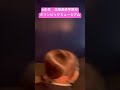 東海大学付属静岡翔洋小学校 小6 修学旅行 Shorts 小学校 小学生 東海大学 私立小学校 修学旅行 北海道 オリンピック スキージャンプ 大倉山 東海大学付属静岡翔洋小学校 小6 修学旅行 Shorts 小学校 小学生 東海大学 私立小学校 修学旅行 北海道 オリンピック スキージャンプ 大倉山