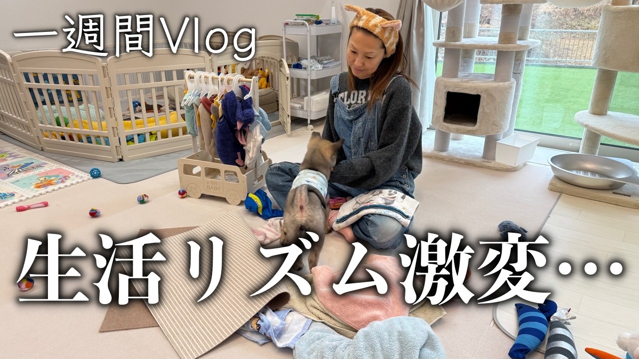 【年の差夫婦】新しい職場で生活リズム激変…体を整える一週間Vlog
