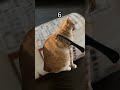 後でしばいときました