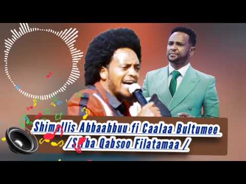 Shimallis Abbaabbuu Fi Caalaa Bultumee Sirba Qabsoo Filatamaa