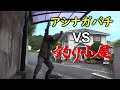 車庫のハチの巣捕ったら、攻撃された・・・アシナガバチVS釣り小屋‼※１ヶ月前に、刺されたリベンジ動画です。