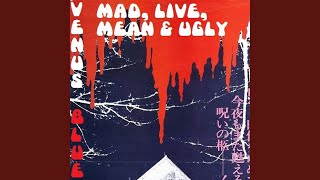 Nasty Savage & True Story (live) (Live) - Venus Blue