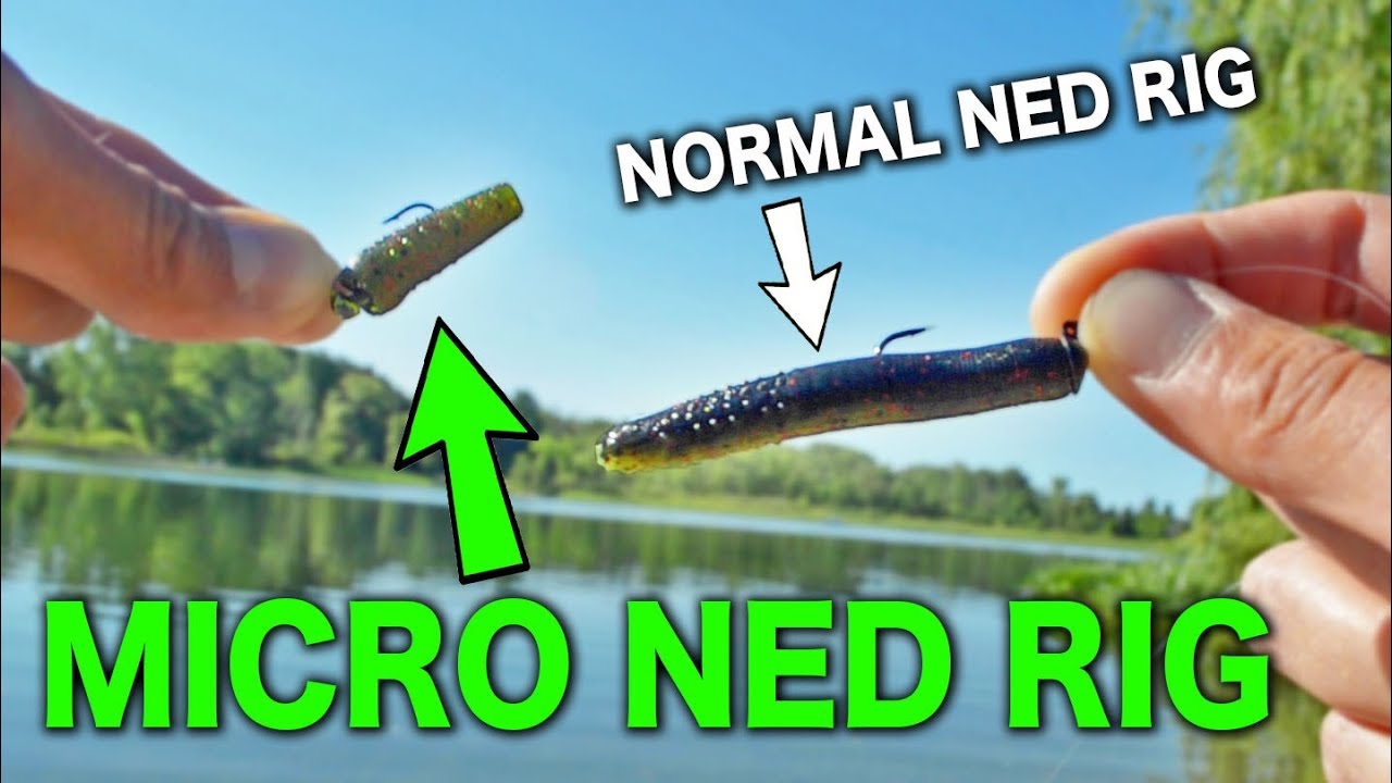 MICRO NED RIG - New Ultralight Technique for Multi Species Fishing! 