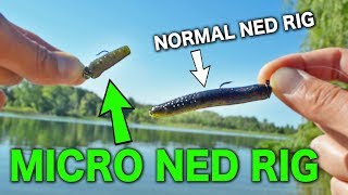 MICRO NED RIG - New Ultralight Technique for Multi Species Fishing!