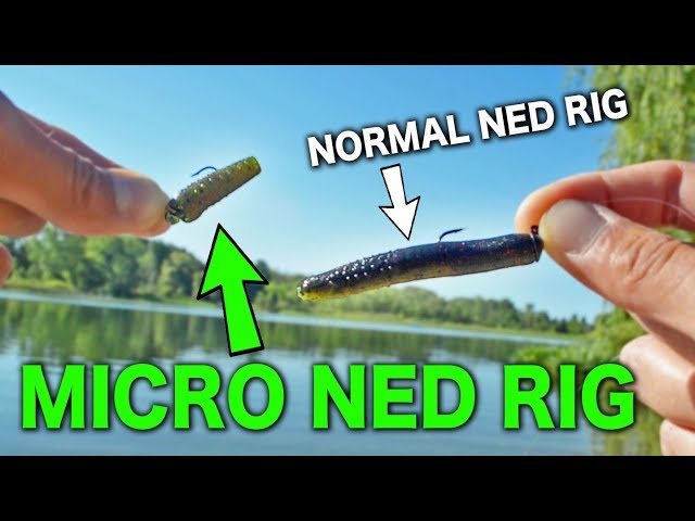 MICRO NED RIG - New Ultralight Technique for Multi Species Fishing