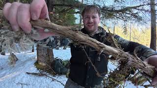 Famous No tent, Extreme Alaskan Winter Survival camping (0F/ - 18C) Profile