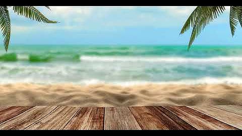 Sea Side tree and Wood floor Background Blur Bokeh Creative Video for Projects and Video Editing  16