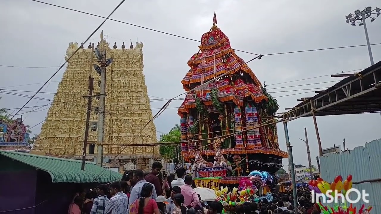 #✨️🙏🙏சுசீந்திரம் தாணுமாலயசுவாமி திருக்கோவில் தேரோட்டம் 🙏🙏🙏✨️✨️🔥🔥🔥