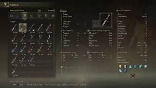 #Elden Ring|Shawdo of The Erdtree NG+