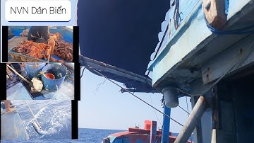 NVN Dân Biển - Những Khoảnh Khắc Đi Câu Cá Mực Trên Biển Đông ( squid fishing moments on  the sea )