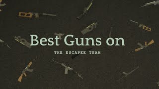 Best Guns on the Escapee Team in Valley Prison (Roblox)