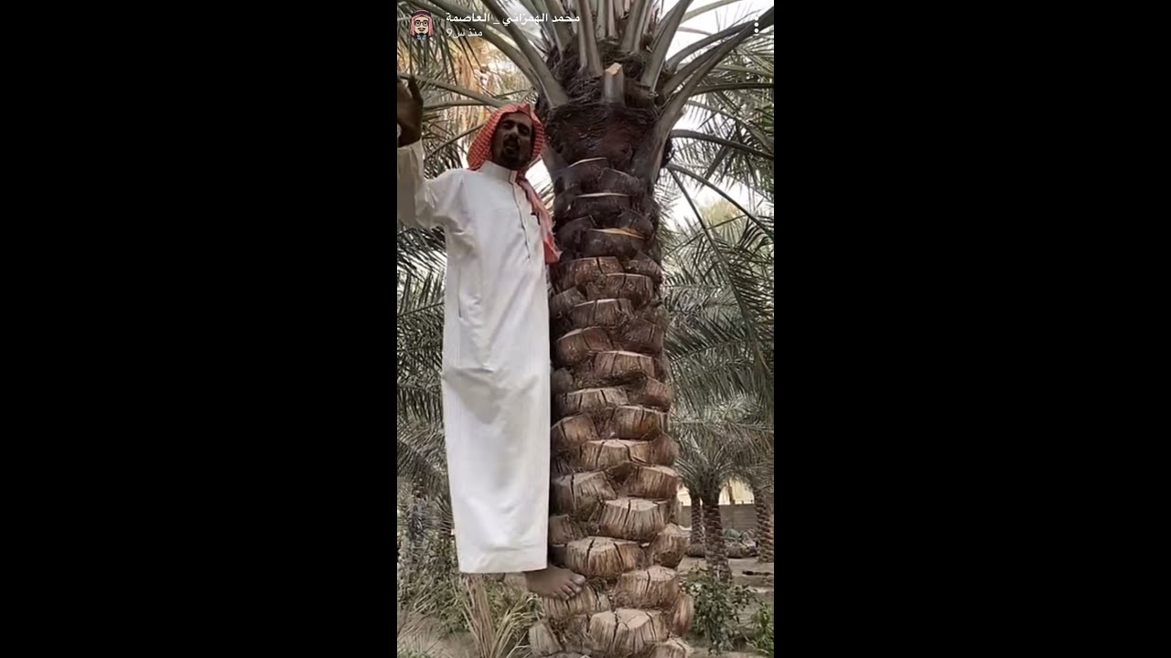 الفلاح الحساوي