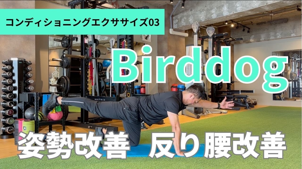 コンディショニングエクササイズ03 【バードドッグ】 - YouTube