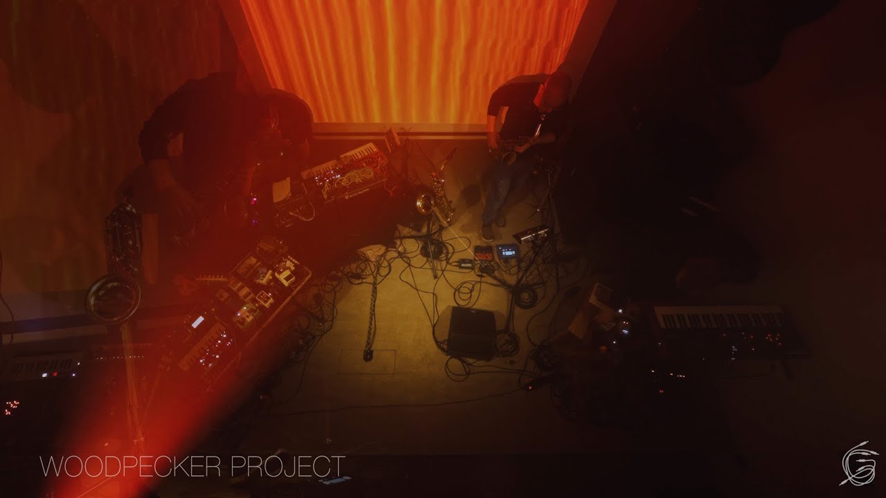 Woodpecker Project // Live @ Erica Synths Garage