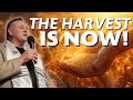 The Fields Are White for the Harvest! It’s Time to Discern the Times &amp; Seasons We’re In