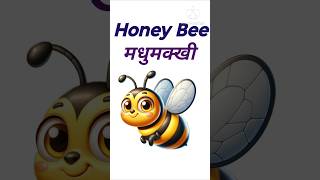 कीड़ो के नाम🐞||Insects Name In Hindi #insect #learn #hindi #viralshorts