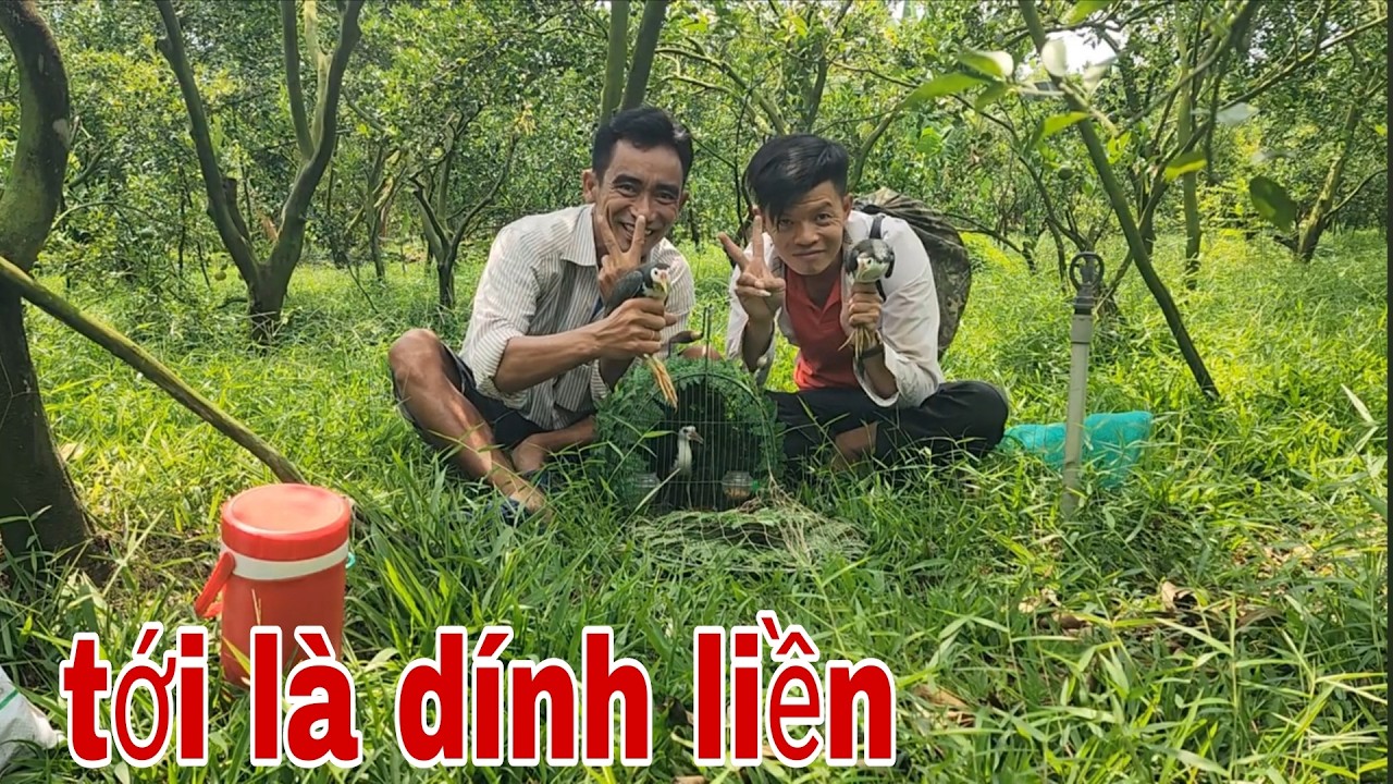 Đầu Năm Lên Lai Vung Gác Quốc , Cặp Quốc Tới Nó Cụt Đá Tốc Độ # SĂN BẮT ĐỒNG THÁP #