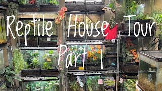 Full Species Reptile Room House Tour Part 1! - Long Overdue 1K Tour!