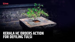 Kerala High Court Directs Police To Take Action Against Man Who Put Pubic Hair In Tulsi