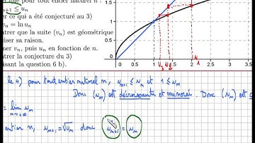 Fonction logarithme népérien - Exercice Bac - suite et logarithme - récurrence - inégalité - limite