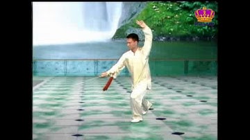 陳思坦~42式太極劍全套示範（背面） Yang style 42 form Tai Chi Sword