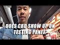 Does cbd show up on testing panel