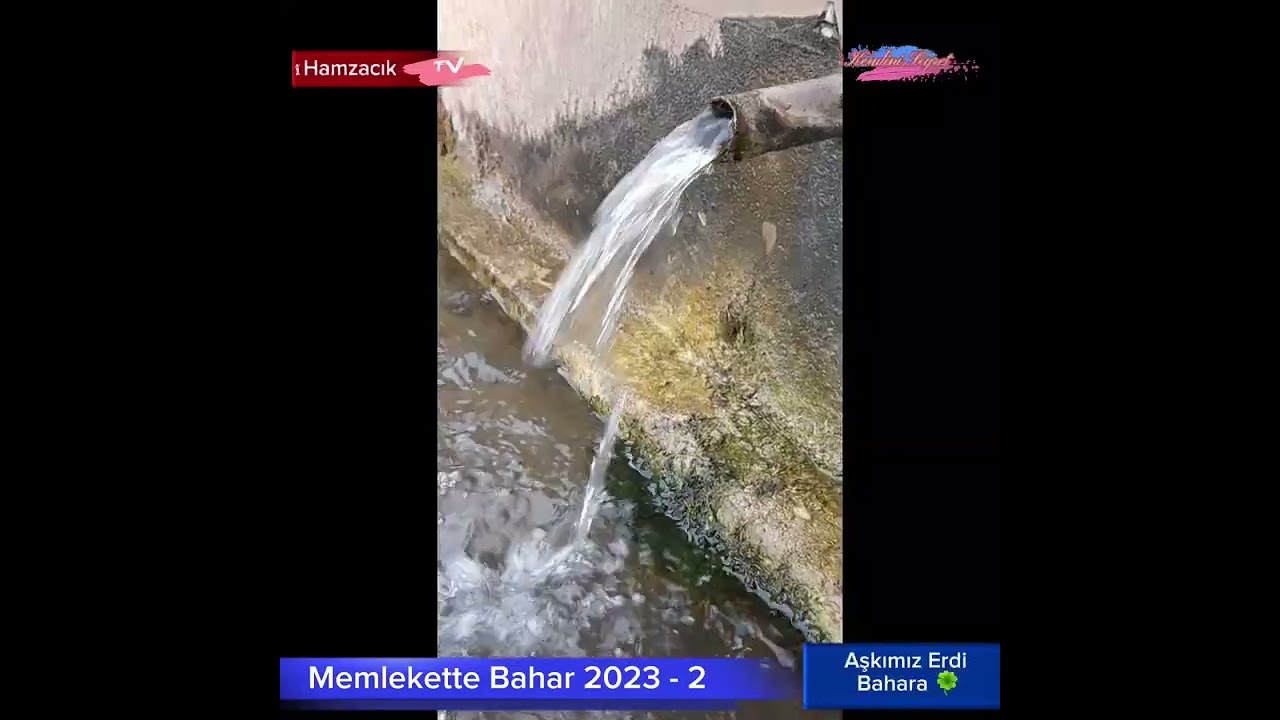 Memlekette Bahar 2023 - 2 - #hamzacık #Hamzacıklılar #köy #bahar #doğa #Çiçek #keşfet #kesfetteyiz