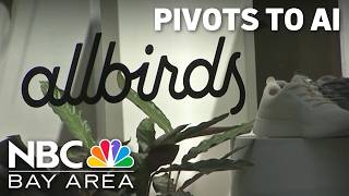 Failed shoe company Allbirds pivots to AI
