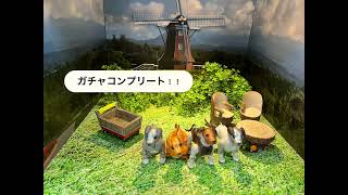 aiboコンプリート