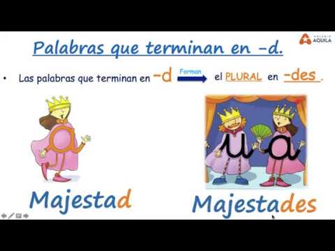 PALABRAS QUE TERMINAN EN -D, -Z -Y - YouTube