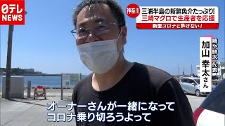 「新型コロナ」に負けない！地元食材で生産者を応援（2020年9月18日放送『news every.』より）