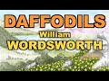 Daffodils or i wandered lonely as a cloud by william wordsworth memorization song