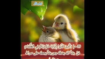 سورة الأنعام لصفحة 132 مكررة بصوت الشيخ أيمن سويد